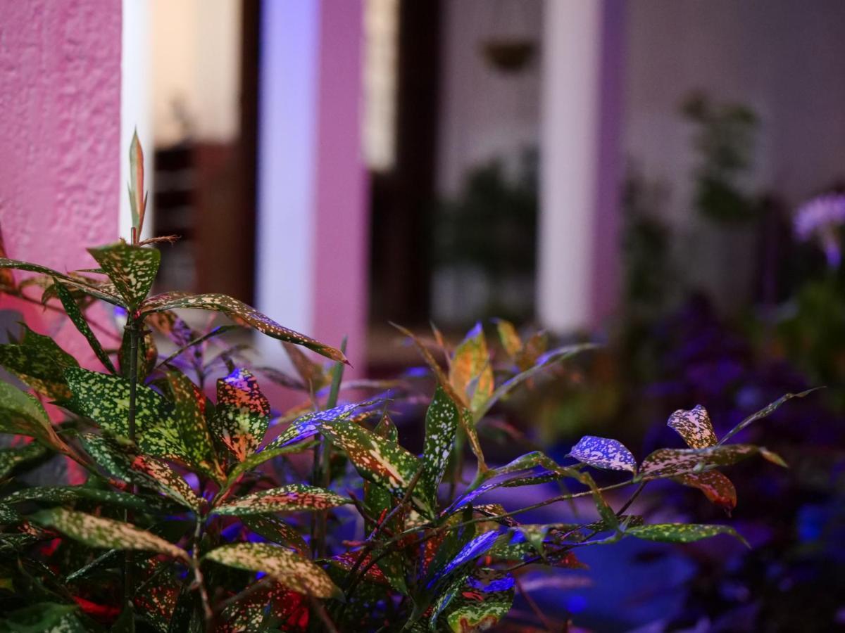 Elegance Oasis, Colombo 3 Hotel ภายนอก รูปภาพ